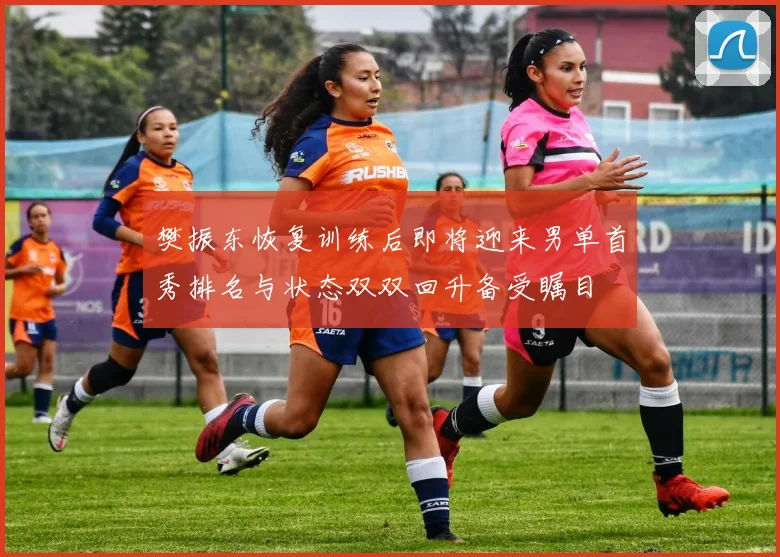 樊振东恢复训练后即将迎来男单首秀排名与状态双双回升备受瞩目